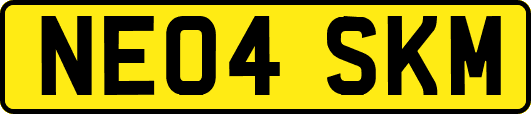NE04SKM