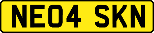NE04SKN