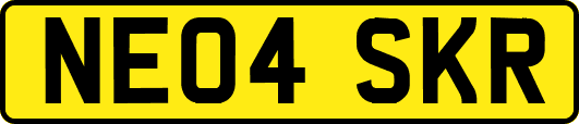 NE04SKR