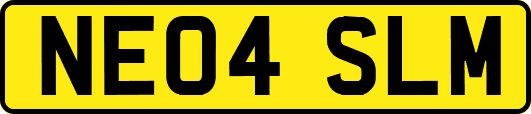 NE04SLM