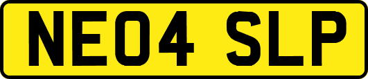 NE04SLP