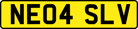 NE04SLV