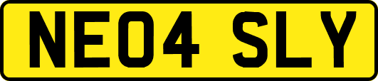 NE04SLY