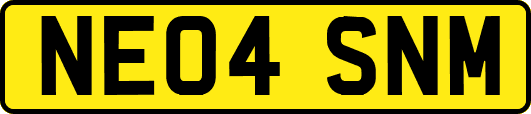NE04SNM