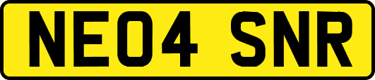 NE04SNR