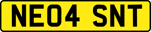 NE04SNT