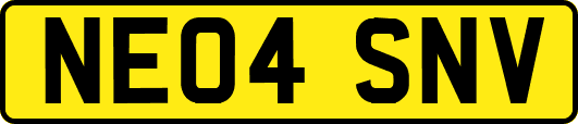 NE04SNV