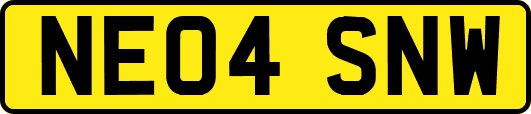 NE04SNW