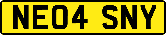 NE04SNY