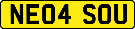 NE04SOU