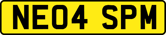 NE04SPM