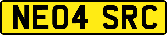 NE04SRC