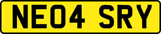NE04SRY