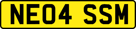 NE04SSM