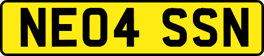 NE04SSN