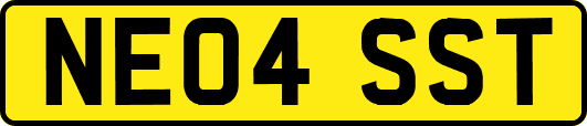 NE04SST
