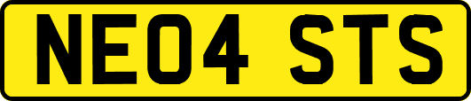 NE04STS