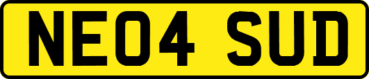 NE04SUD