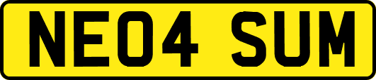 NE04SUM