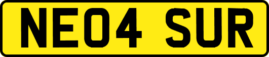 NE04SUR