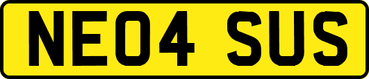NE04SUS