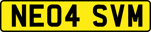 NE04SVM
