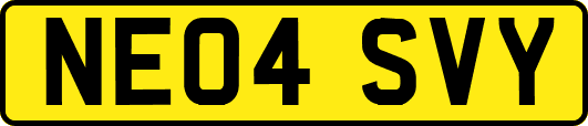 NE04SVY