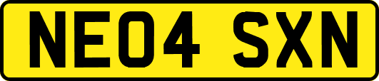 NE04SXN