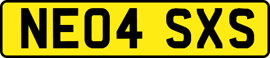 NE04SXS