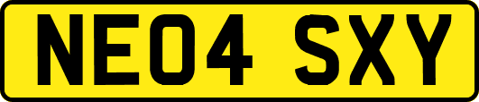 NE04SXY