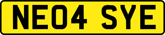 NE04SYE