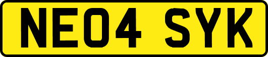 NE04SYK