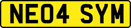 NE04SYM