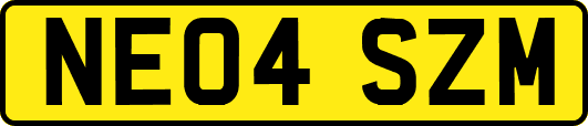 NE04SZM