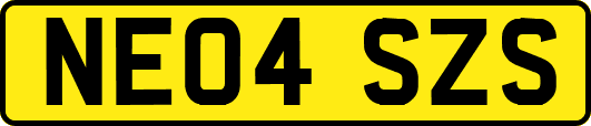 NE04SZS