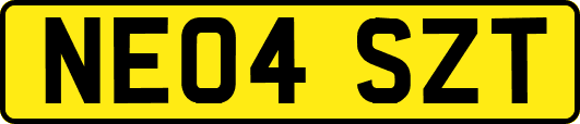 NE04SZT