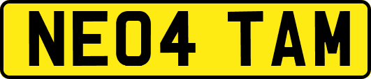 NE04TAM