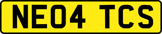 NE04TCS