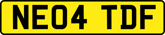 NE04TDF