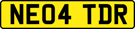 NE04TDR