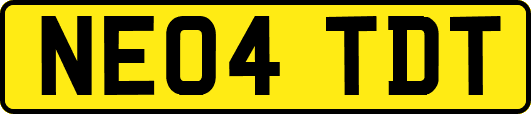 NE04TDT