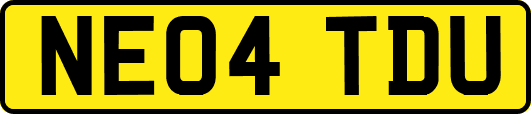 NE04TDU