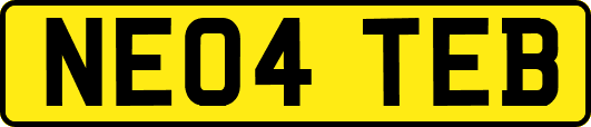 NE04TEB