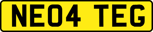 NE04TEG
