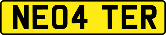 NE04TER