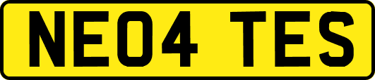 NE04TES