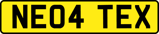 NE04TEX