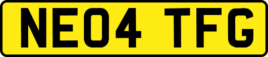 NE04TFG