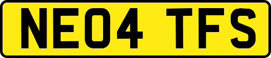 NE04TFS