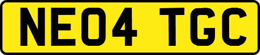 NE04TGC